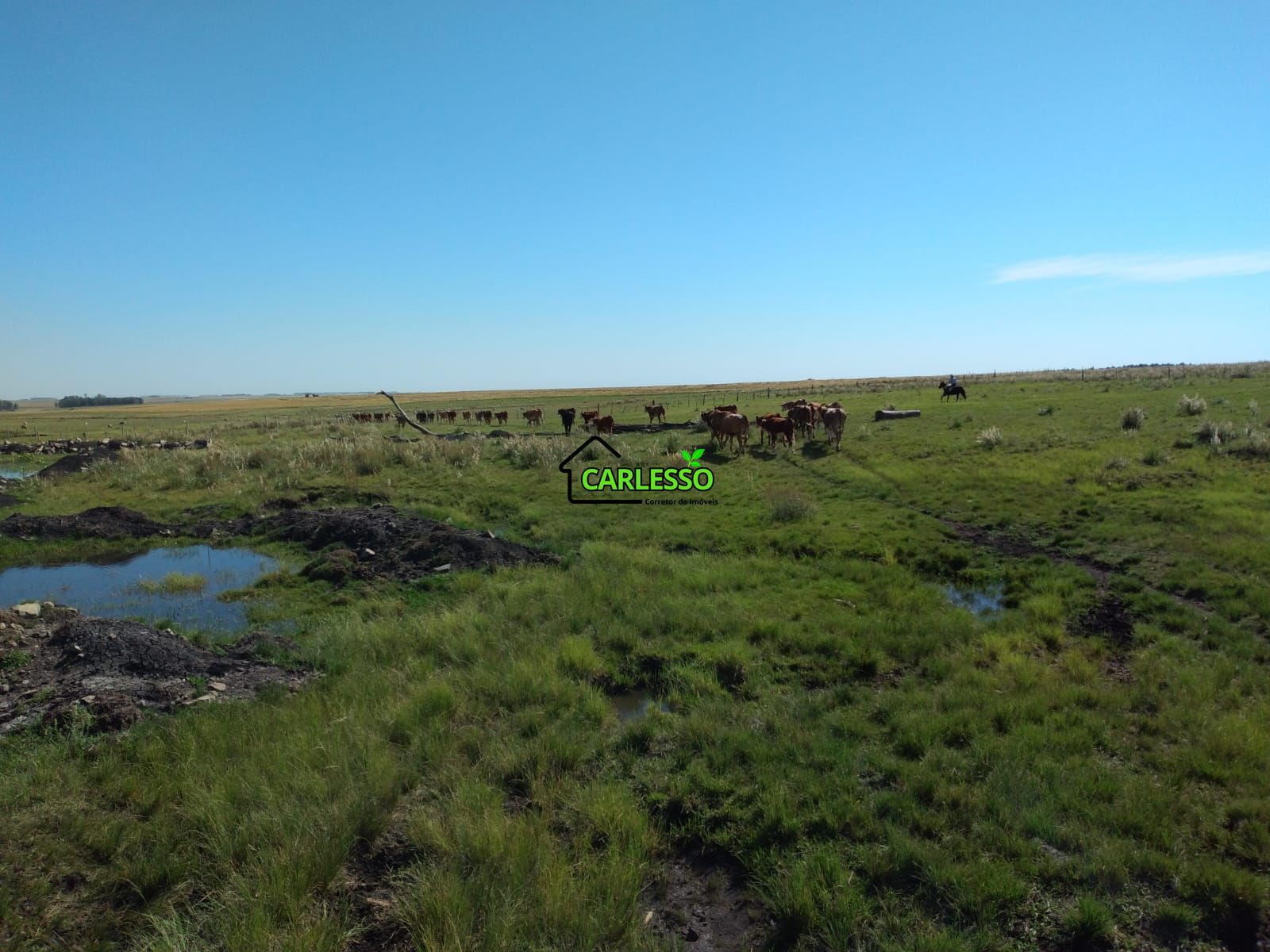 Fazenda de 65 ha