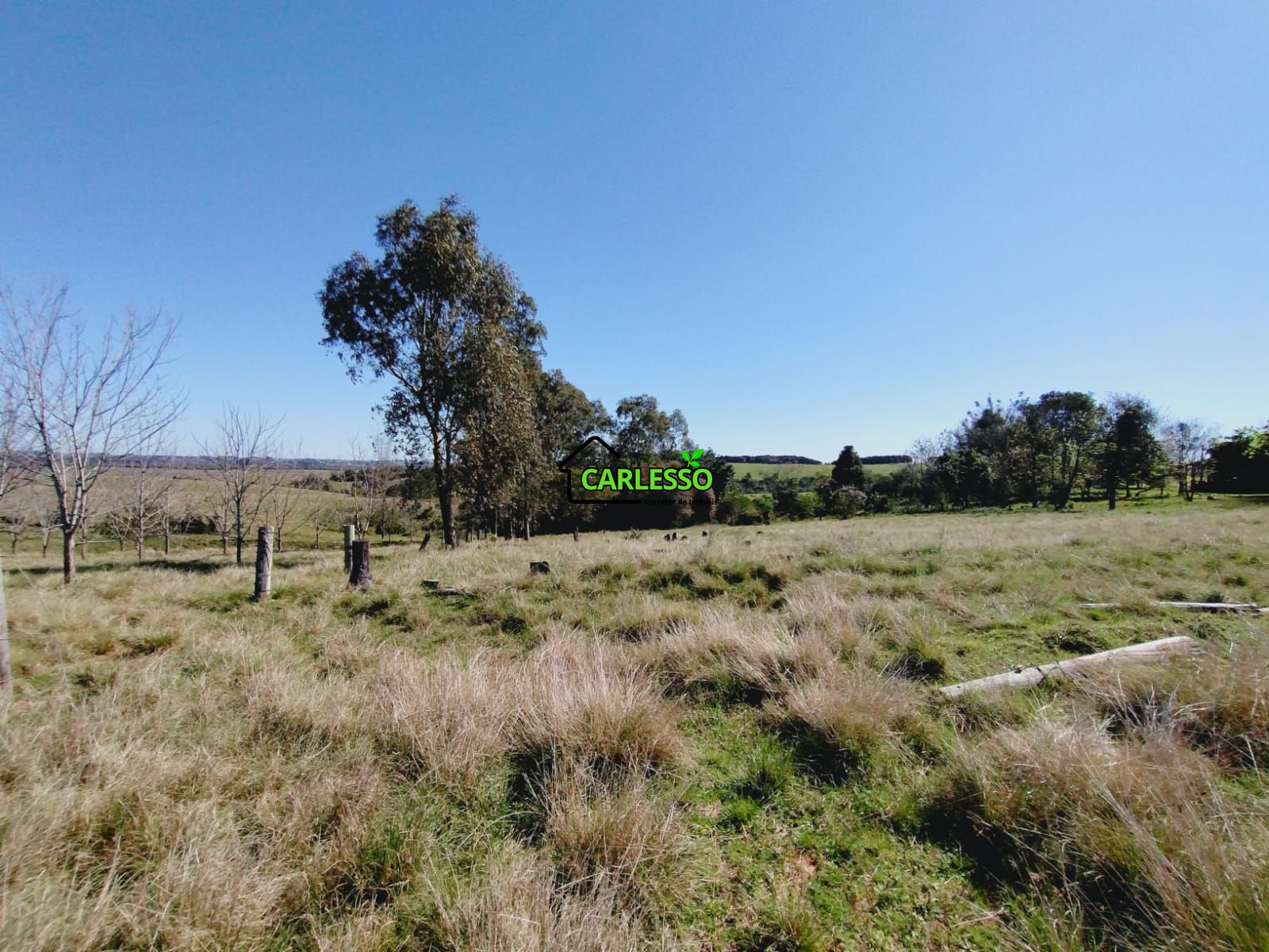 Chácara, 3 quartos, 12 hectares - Foto 11