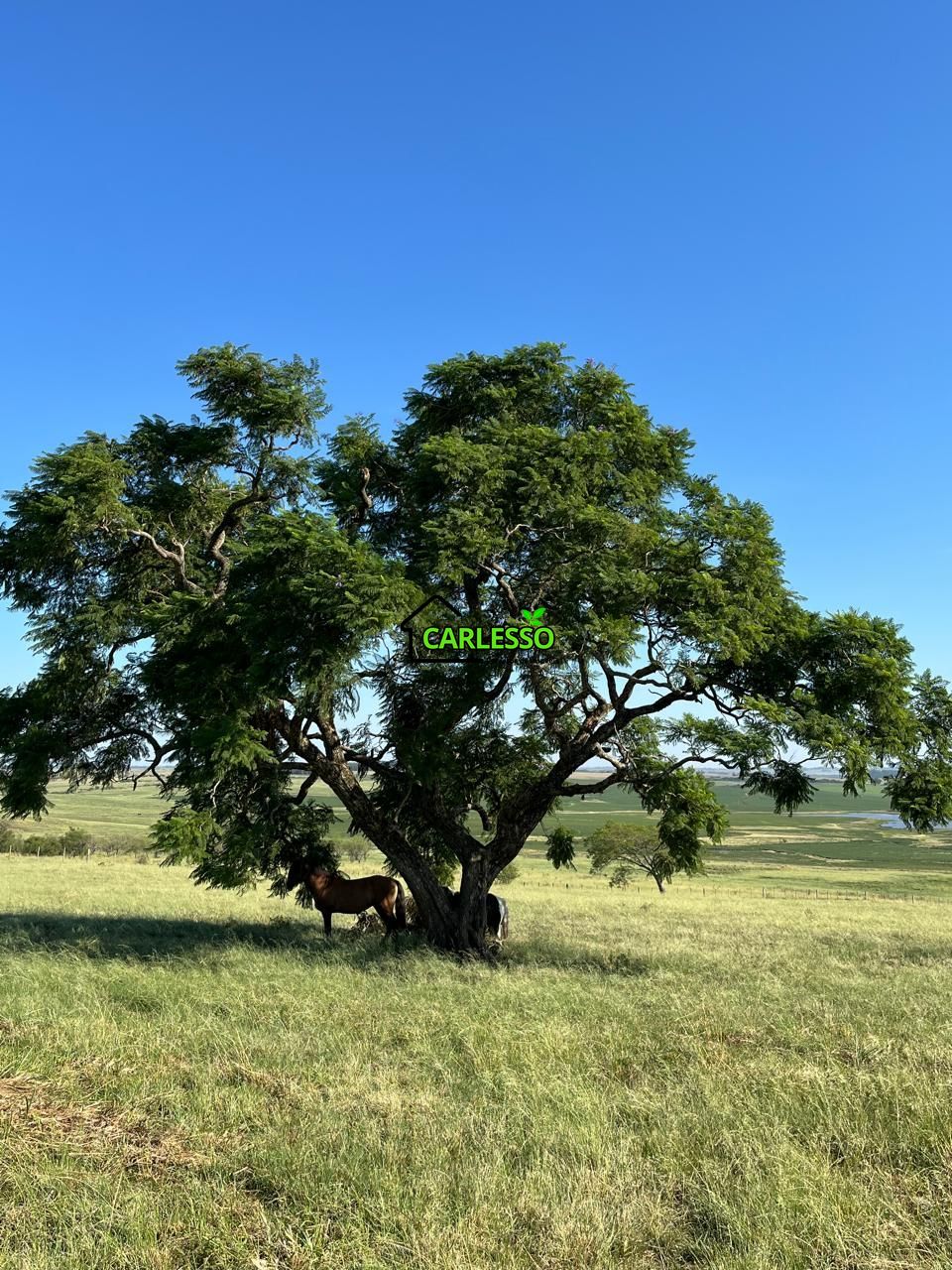 Fazenda, 120 m² - Foto 12