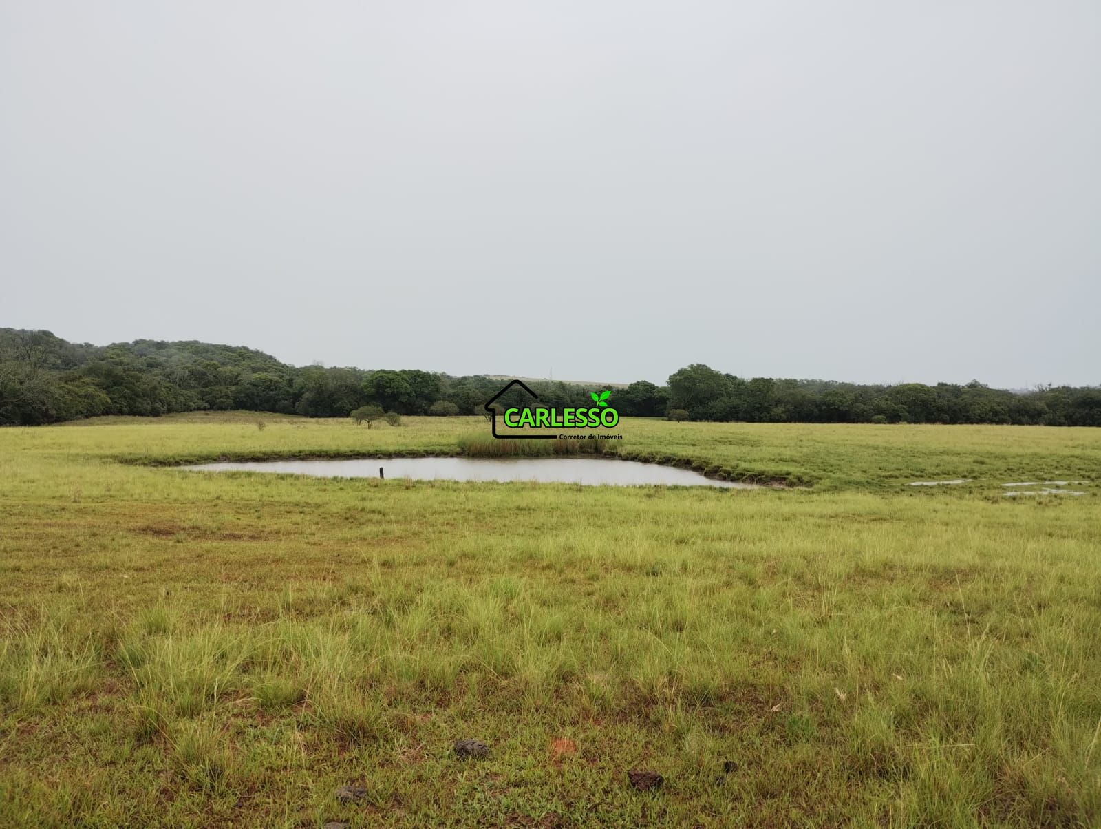 Fazenda de 80 ha em Alegrete