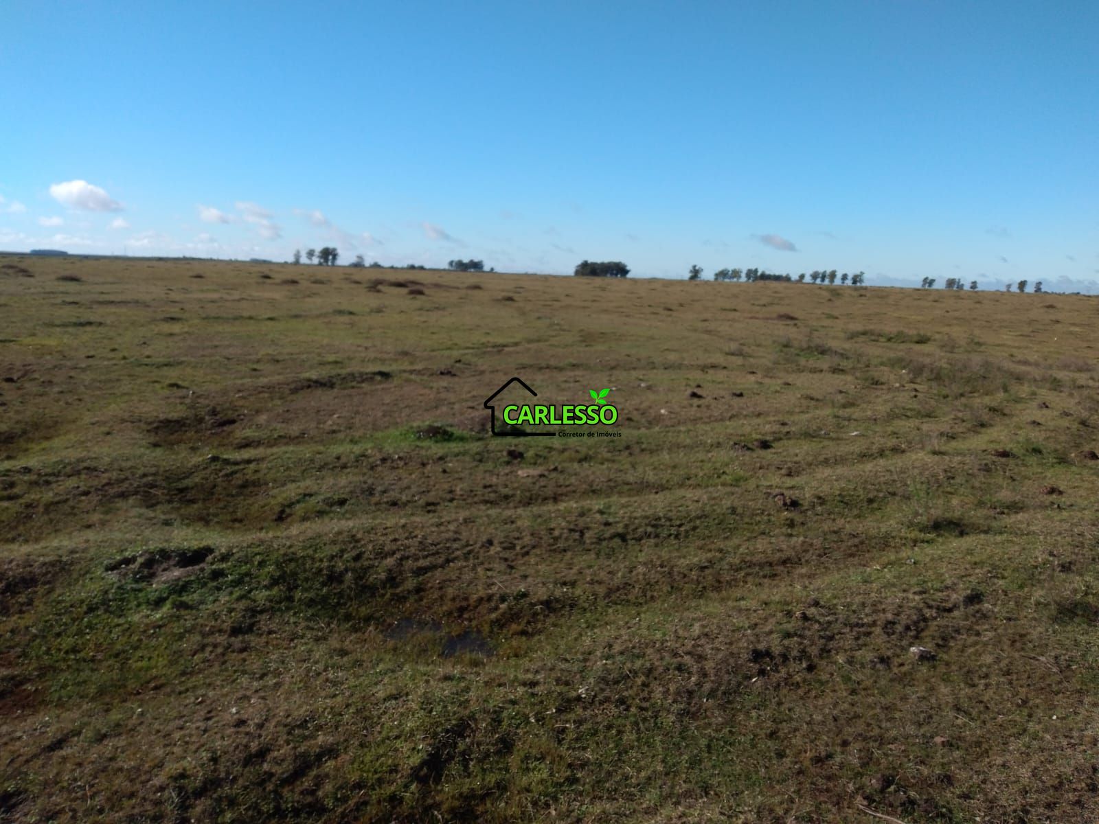 Fazenda de 65 ha