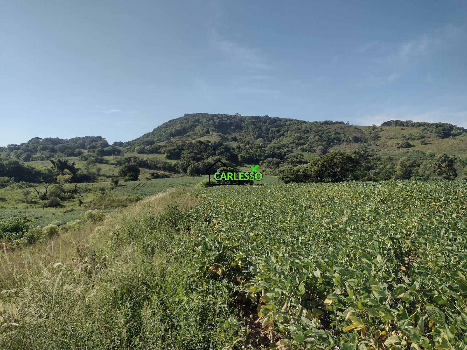 Área de 8,5 ha a venda