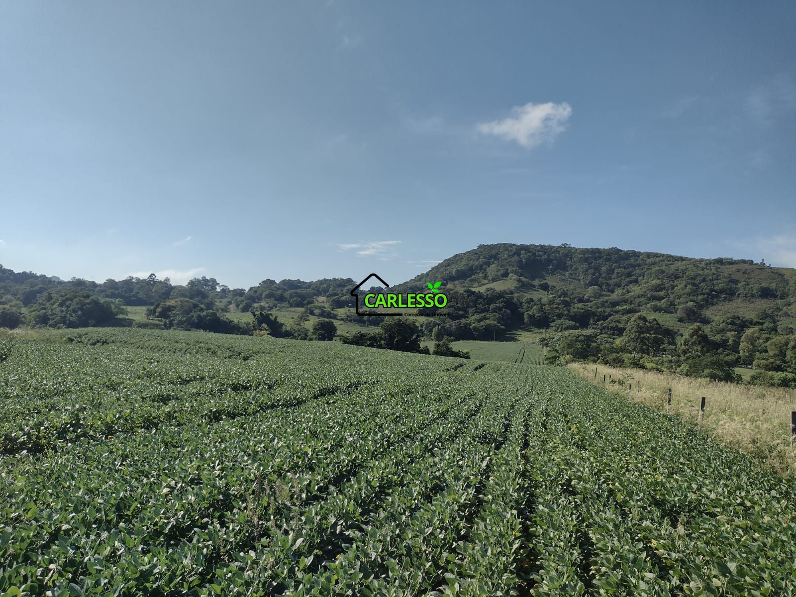 Área de 8,5 ha a venda