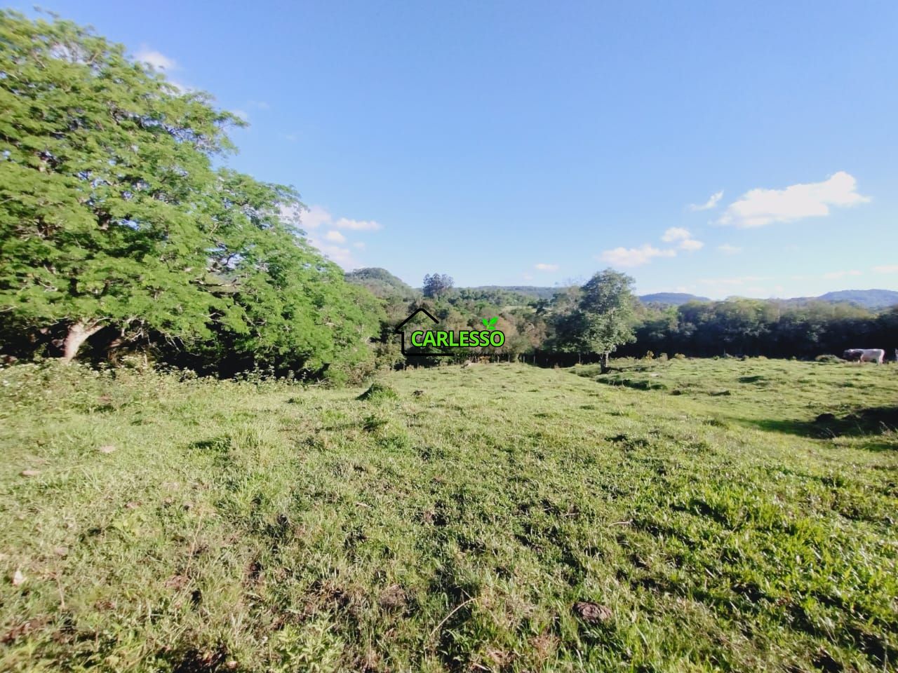 Chácara, 2 quartos, 7 hectares - Foto 27