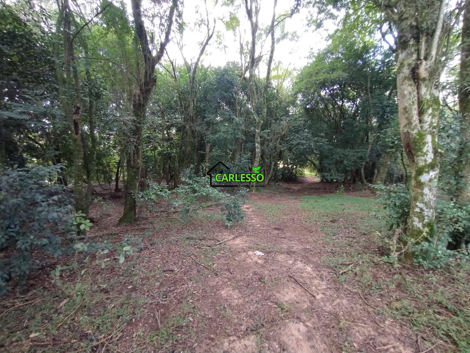 Área rural de frente ao asfalto