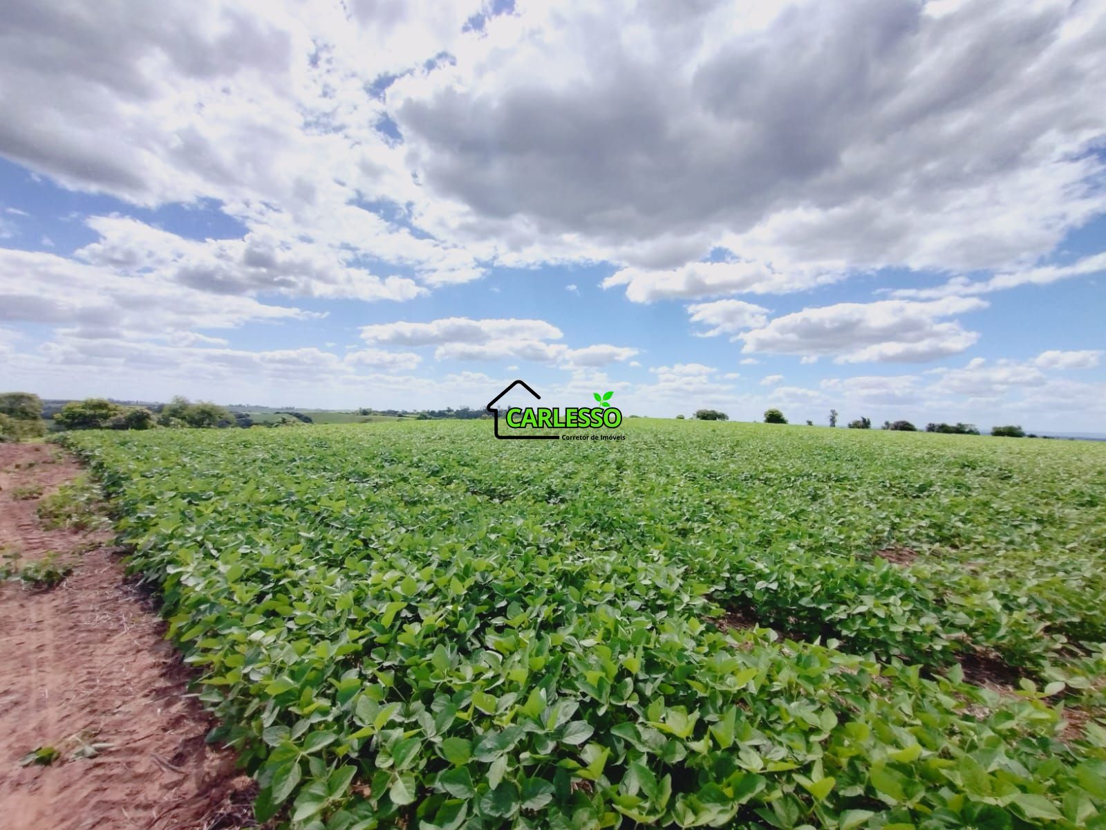 Sítio, 25 hectares - Foto 20