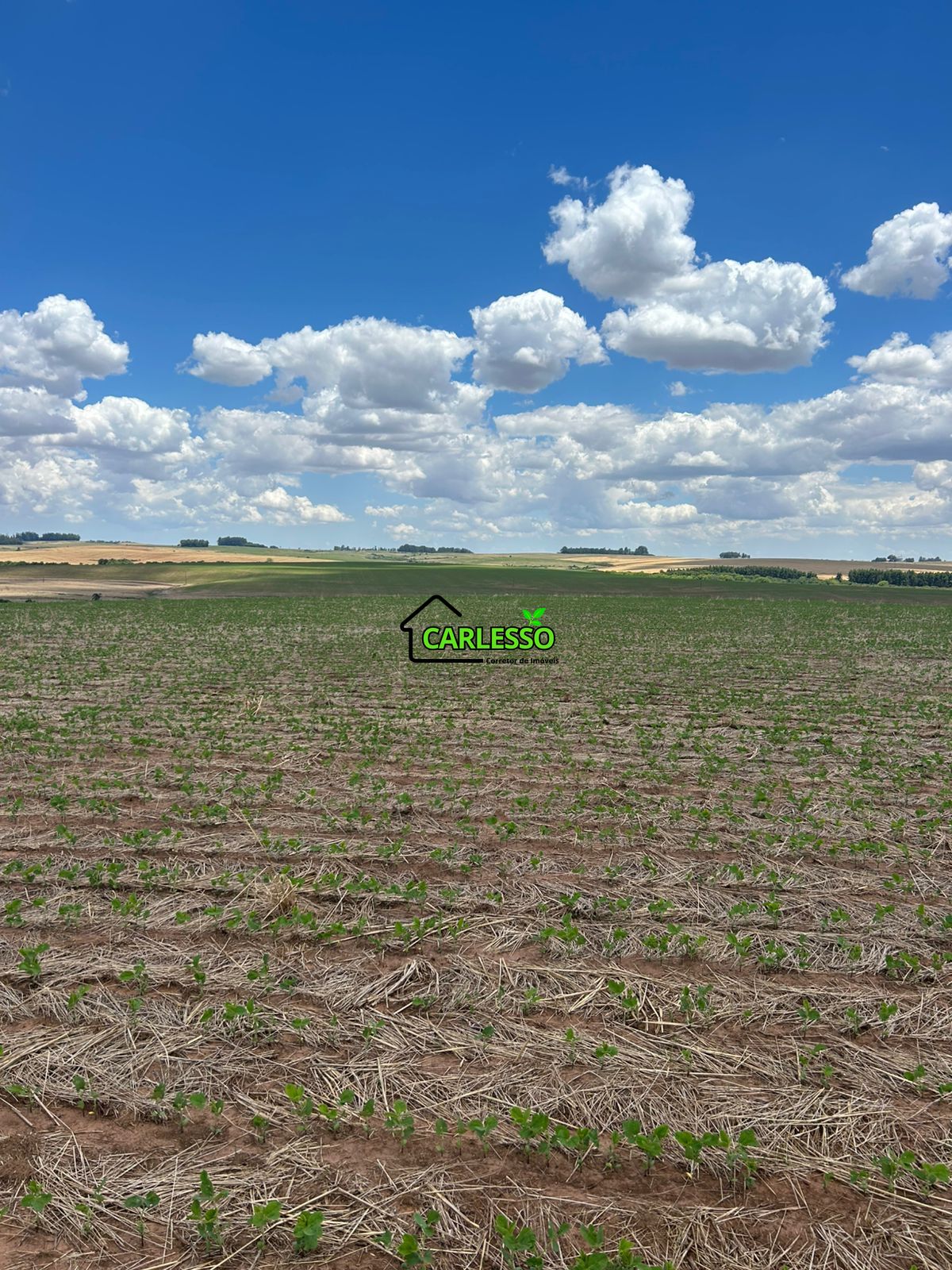 Fazenda, 700 hectares - Foto 1