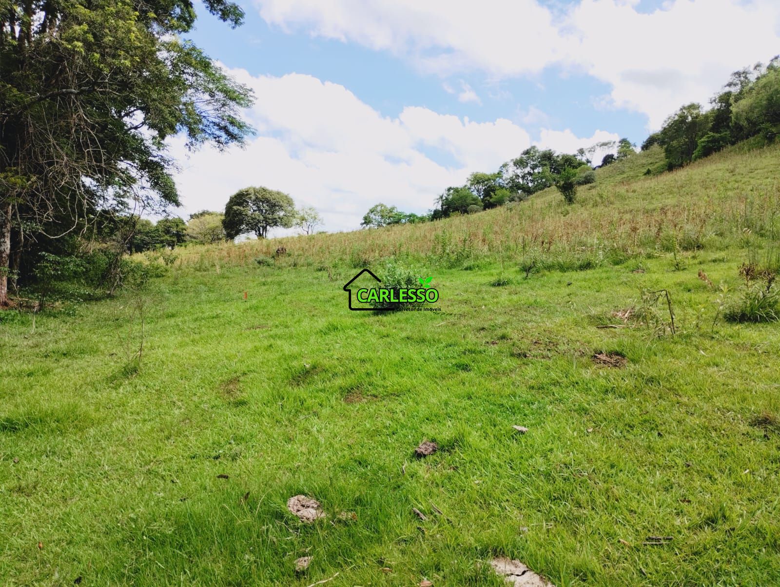 Sítio, 23 hectares - Foto 31