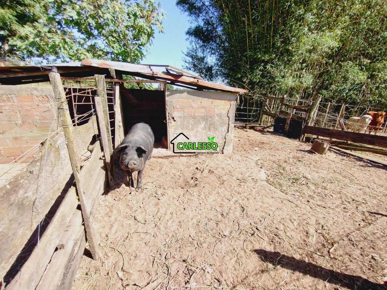 Chácara, 2 quartos, 2 hectares - Foto 23