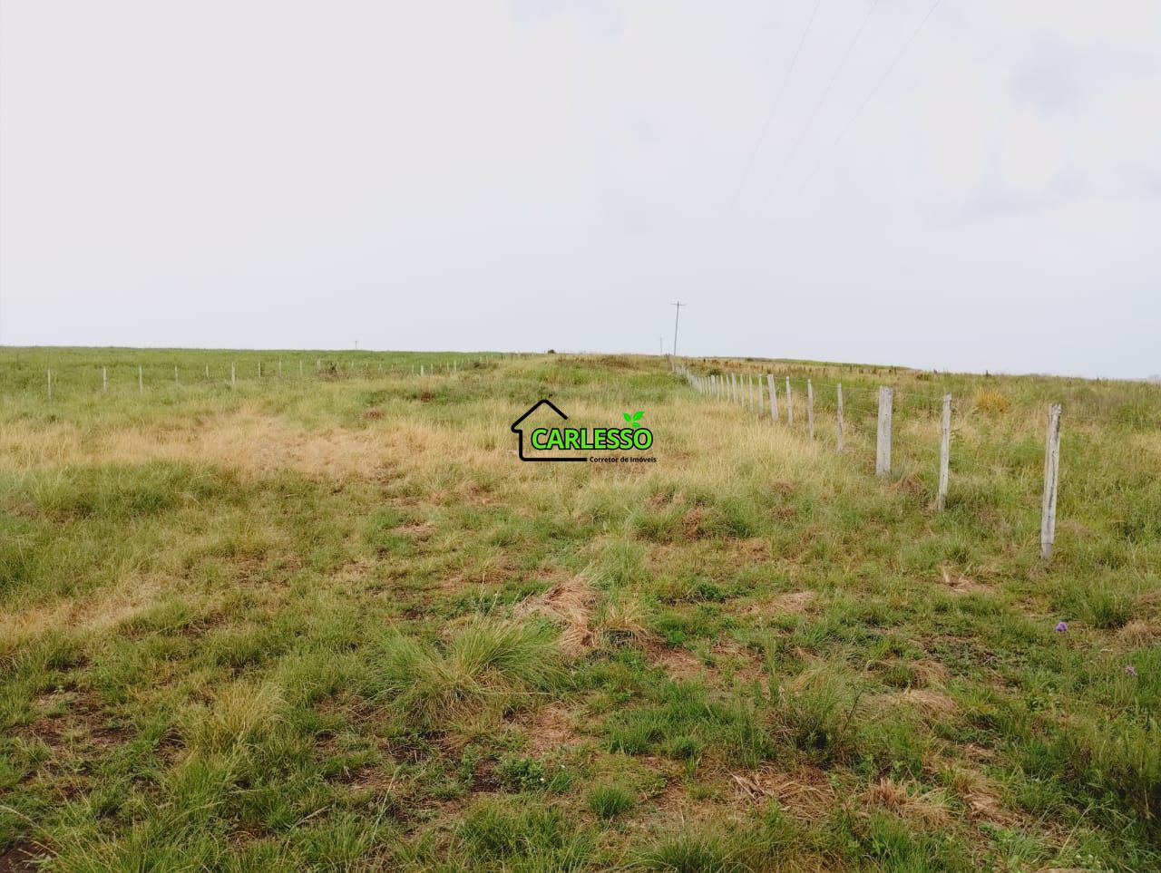 Fazenda, 119 hectares - Foto 15