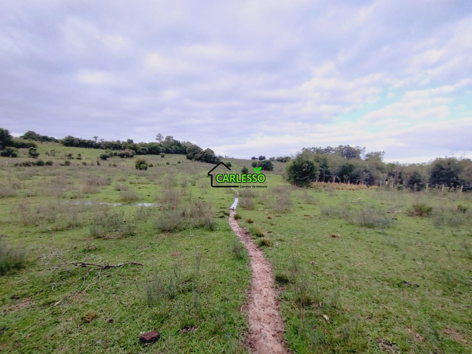 Terreno, 6 hectares - Foto 25