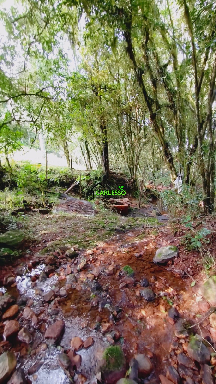 Área rural de 6 ha