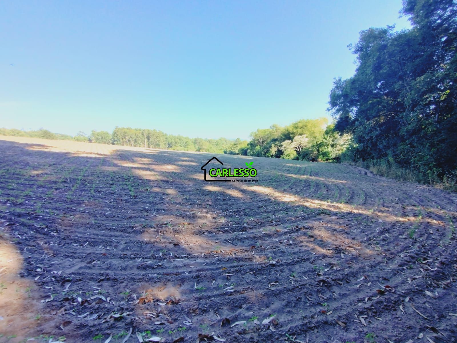 Sítio, 9 hectares - Foto 24