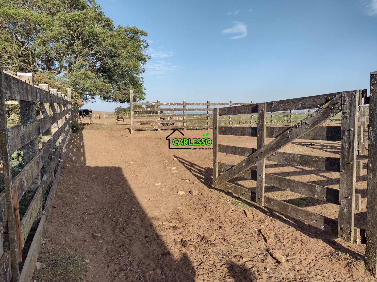 Fazenda com 63 ha