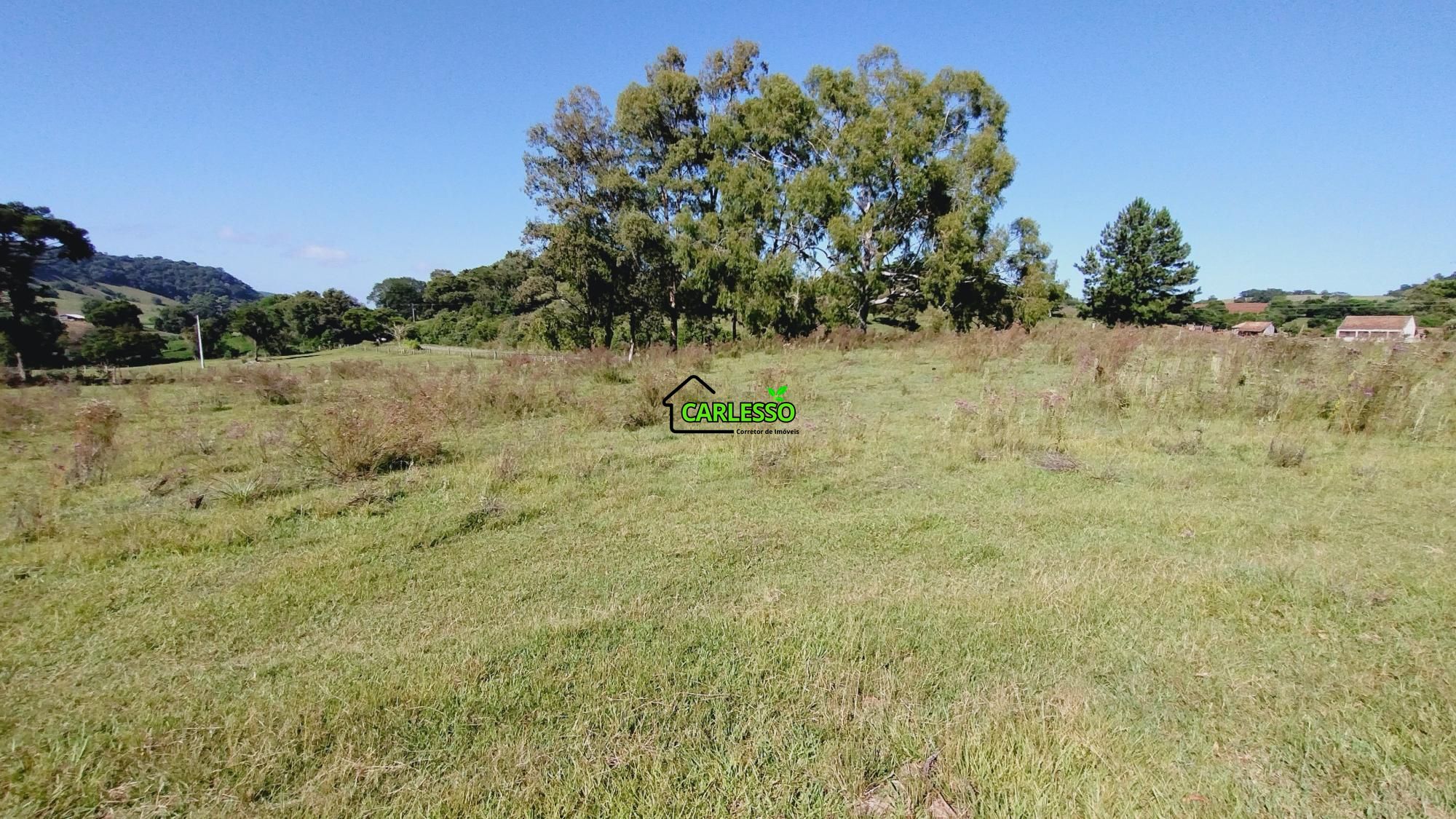 Sítio, 18 hectares - Foto 10