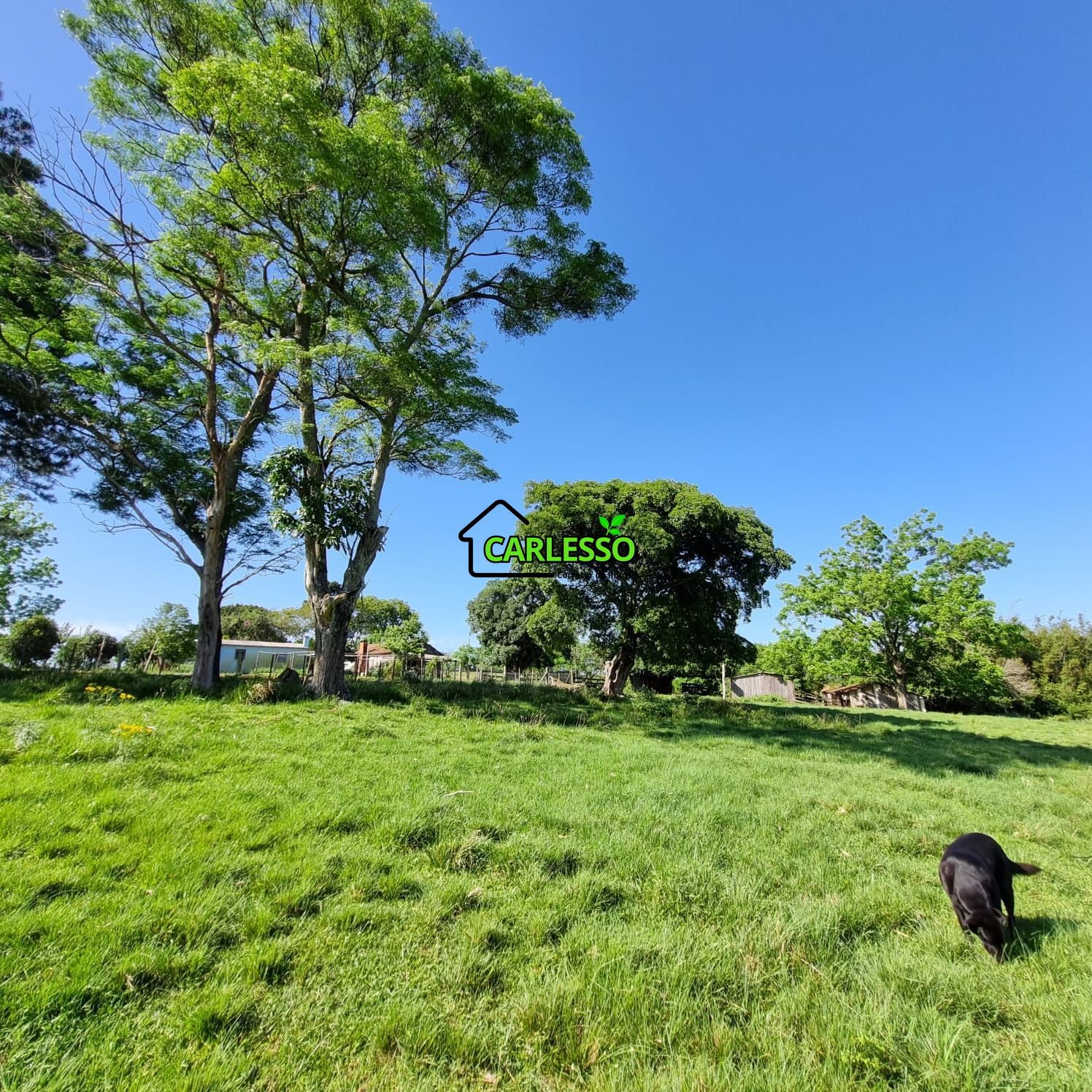 Chácara, 5 quartos, 7 hectares - Foto 26