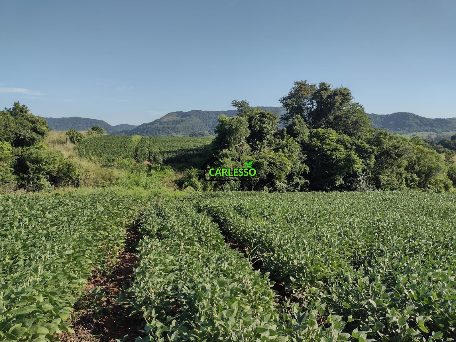 Área de 8,5 ha a venda