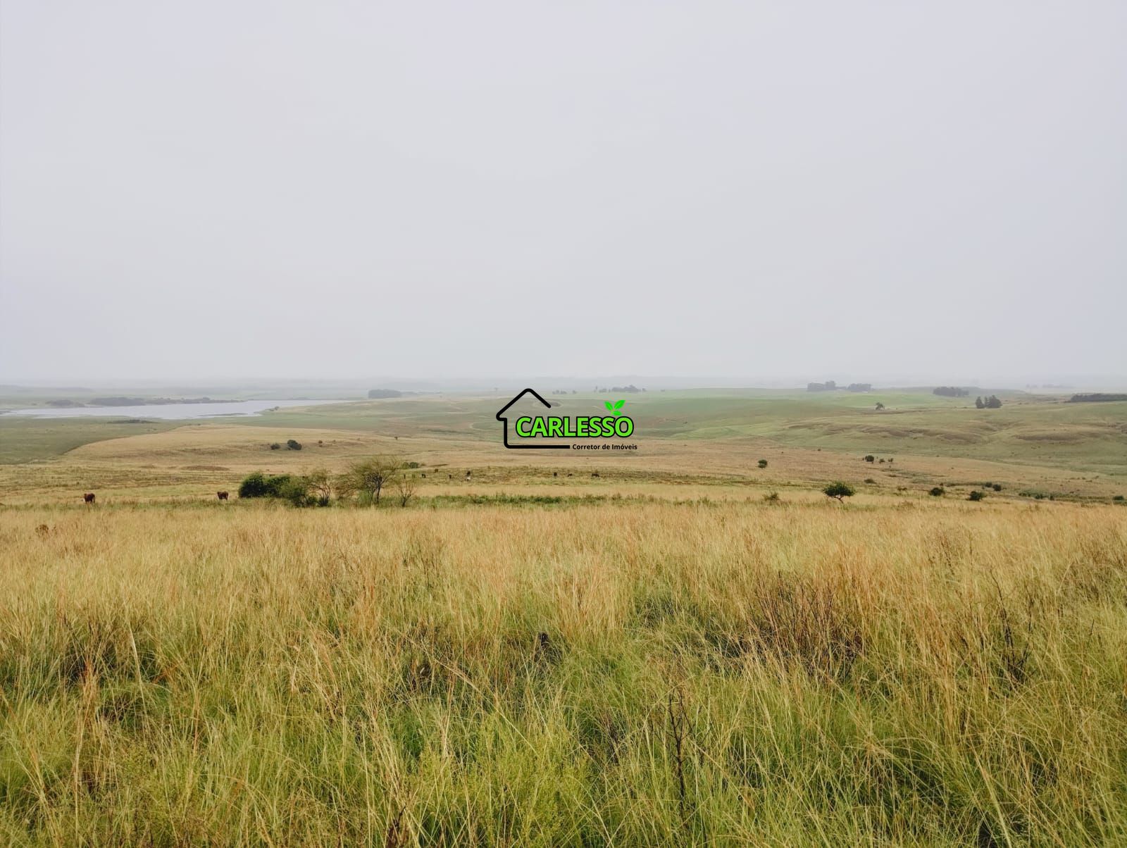 Fazenda, 120 m² - Foto 16