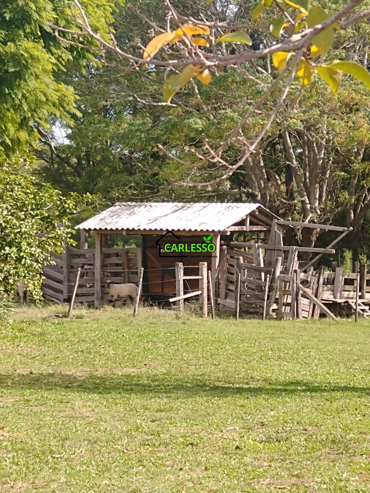 Chácara no interior de são sepé