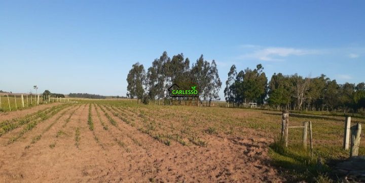 Chácara, 2 quartos, 2 hectares - Foto 15