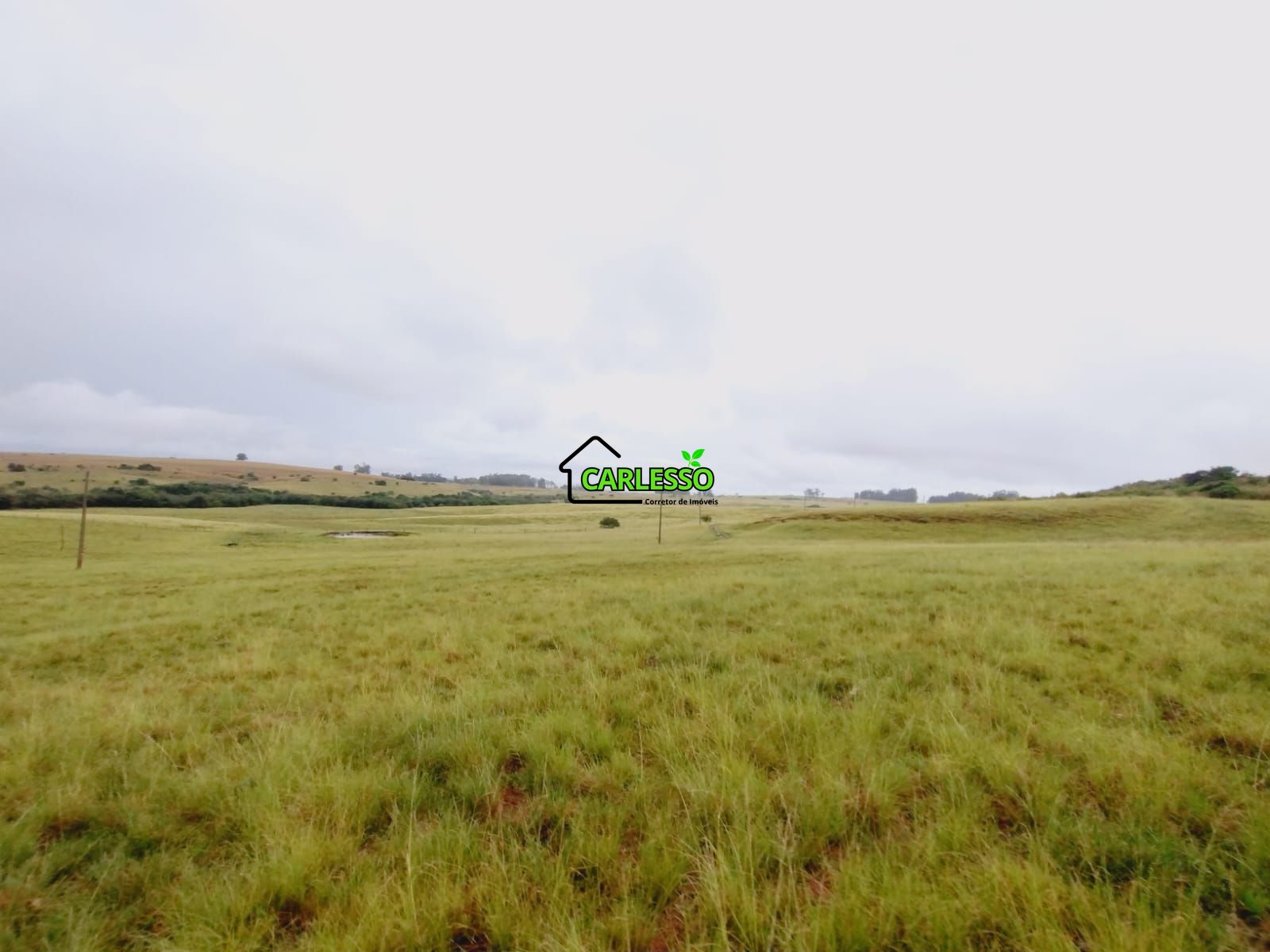 Fazenda de 80 ha em Alegrete