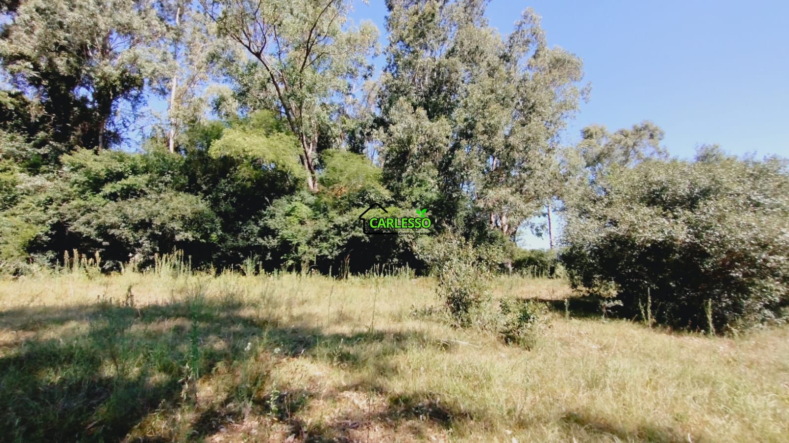 Sítio, 2 quartos, 7 hectares - Foto 54