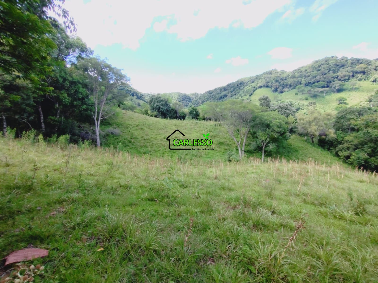 Sítio, 23 hectares - Foto 17