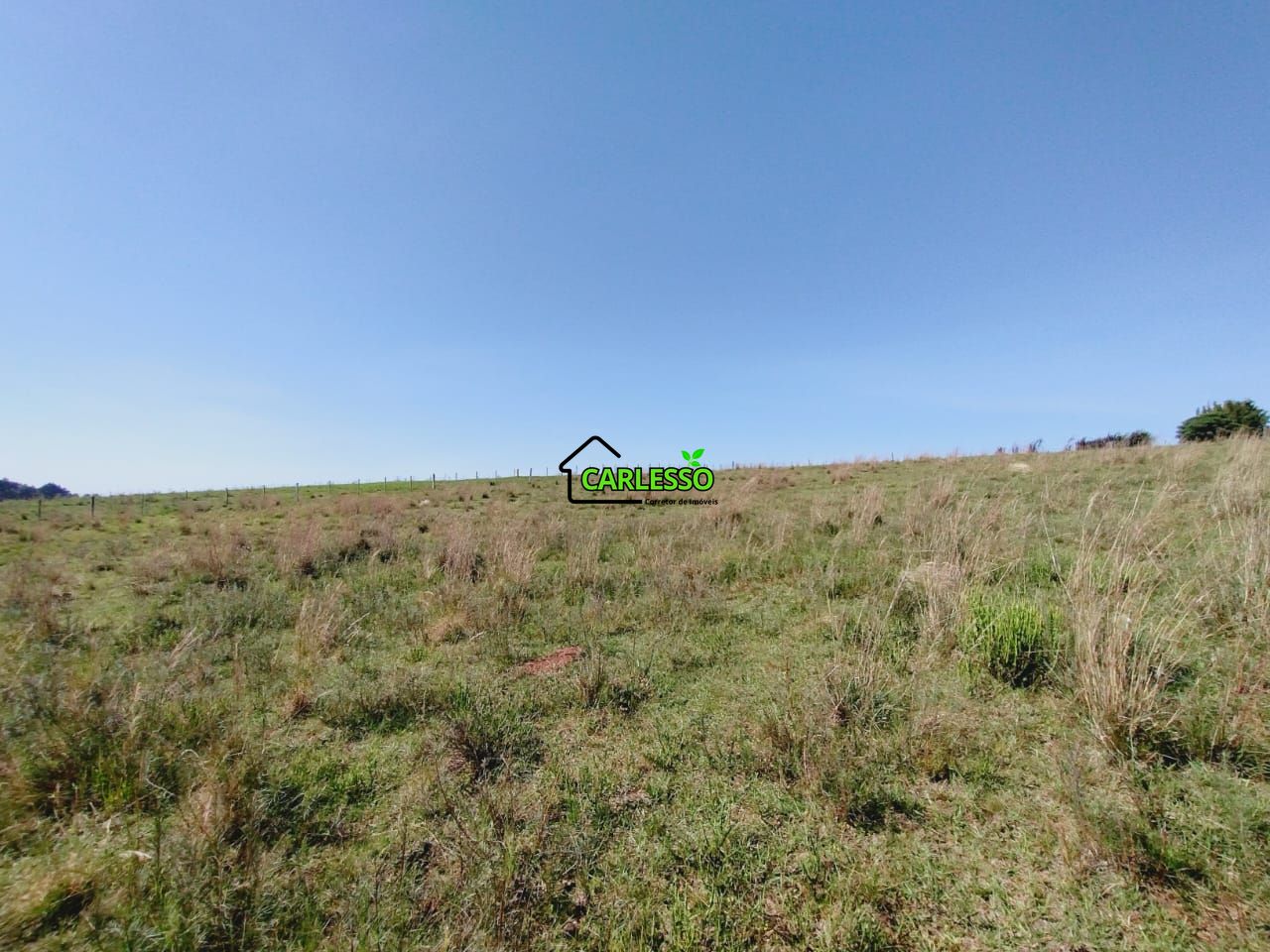 Chácara, 2 quartos, 2 hectares - Foto 61