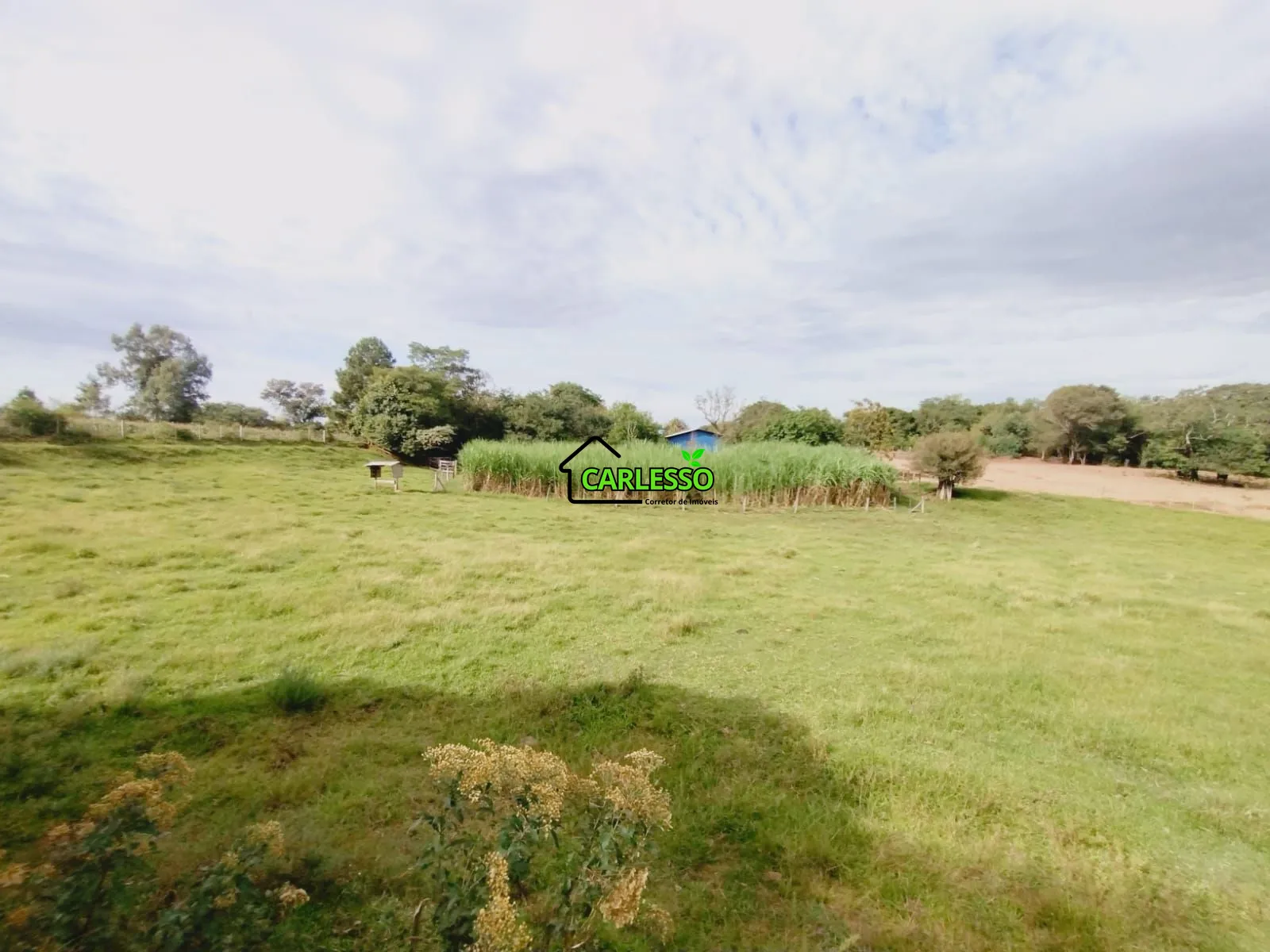Sítio, 3 quartos, 4 hectares - Foto 43