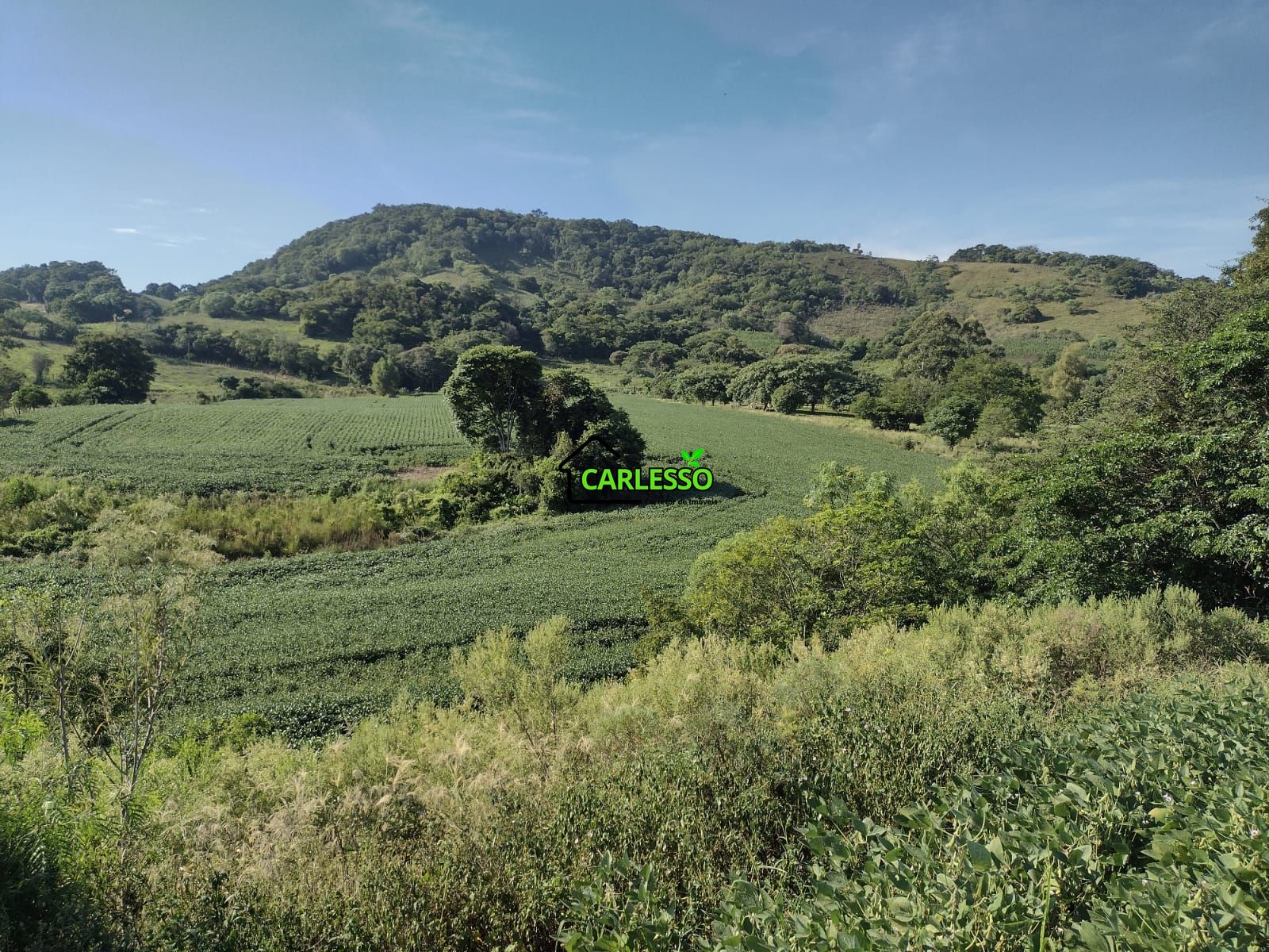 Área de 8,5 ha a venda