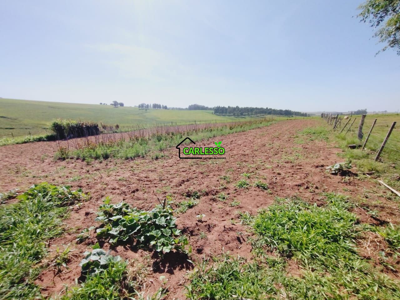 Chácara, 2 quartos, 2 hectares - Foto 38