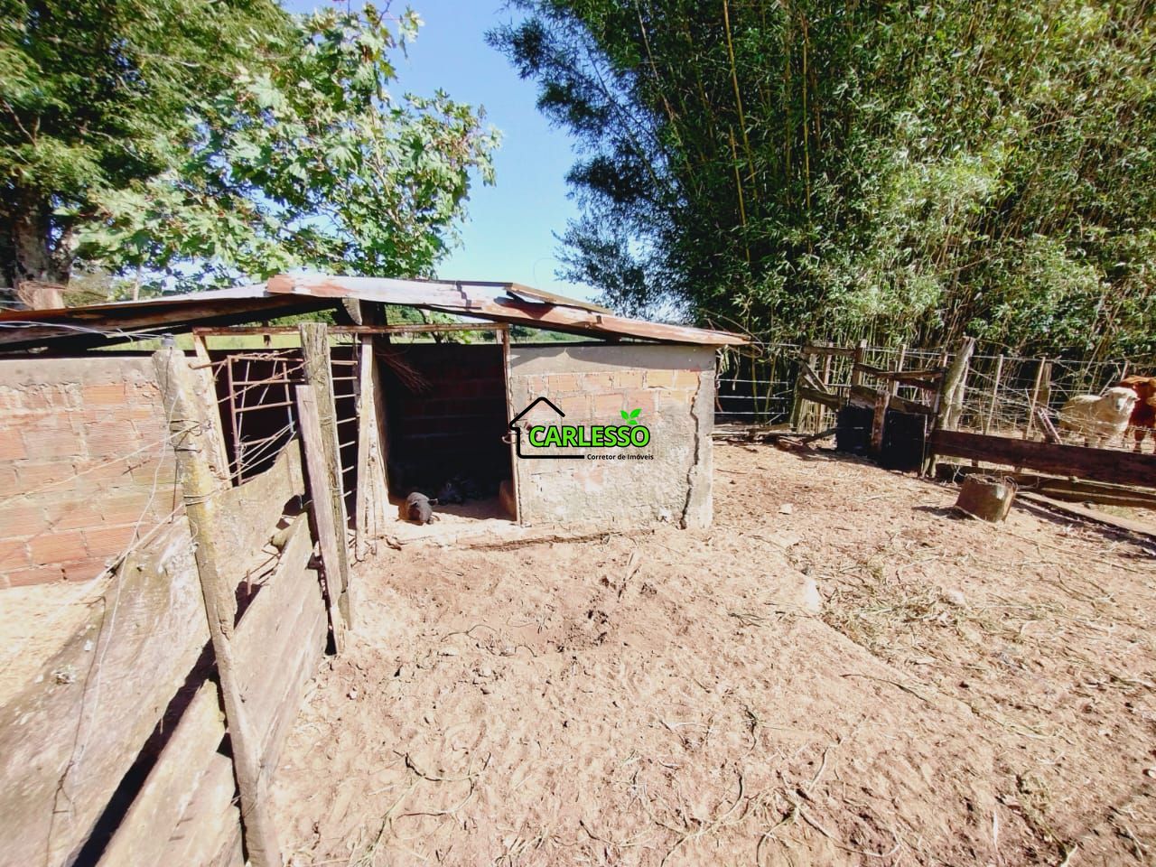 Chácara, 2 quartos, 2 hectares - Foto 22