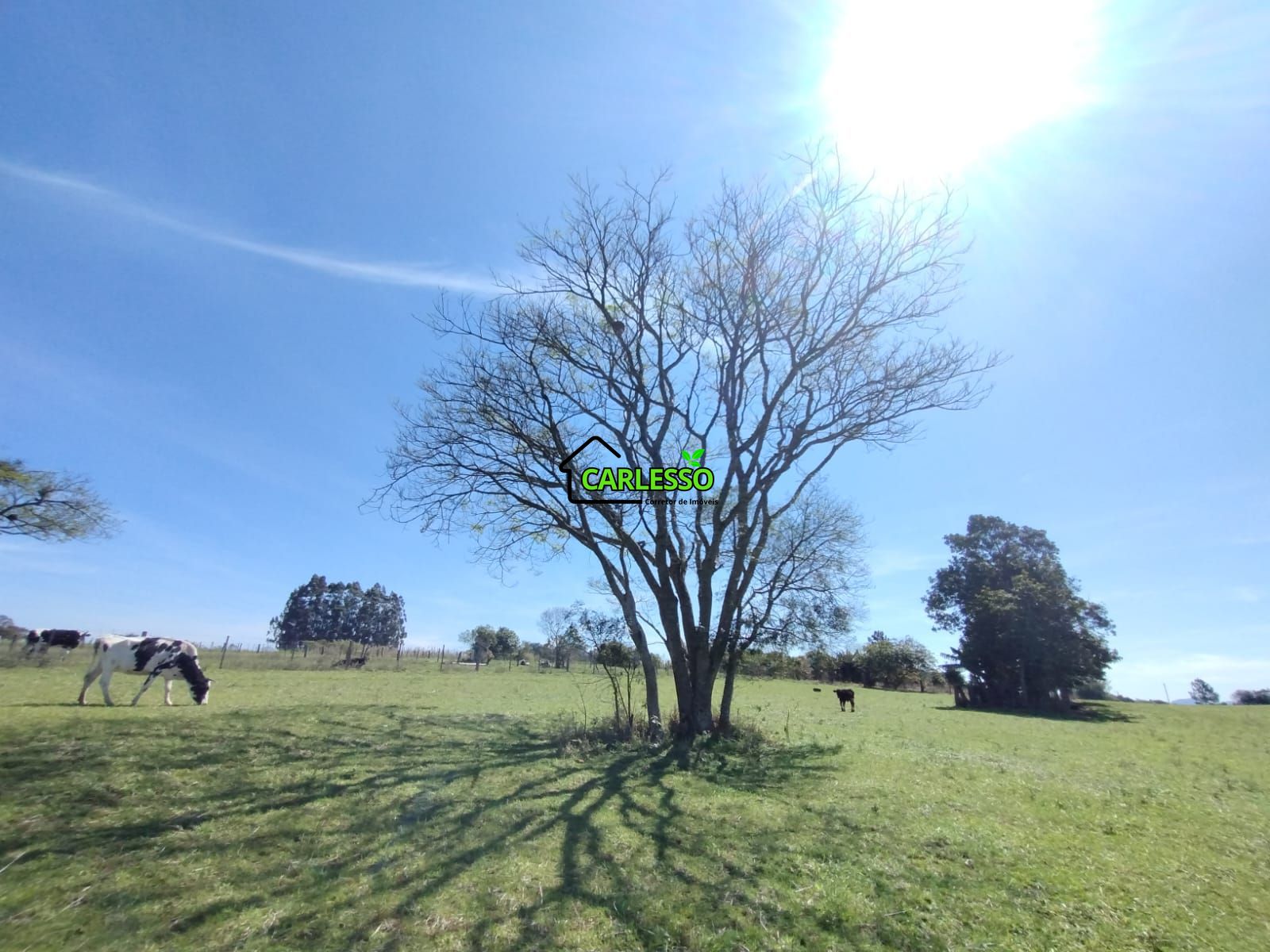 Área de 2,5 ha a venda