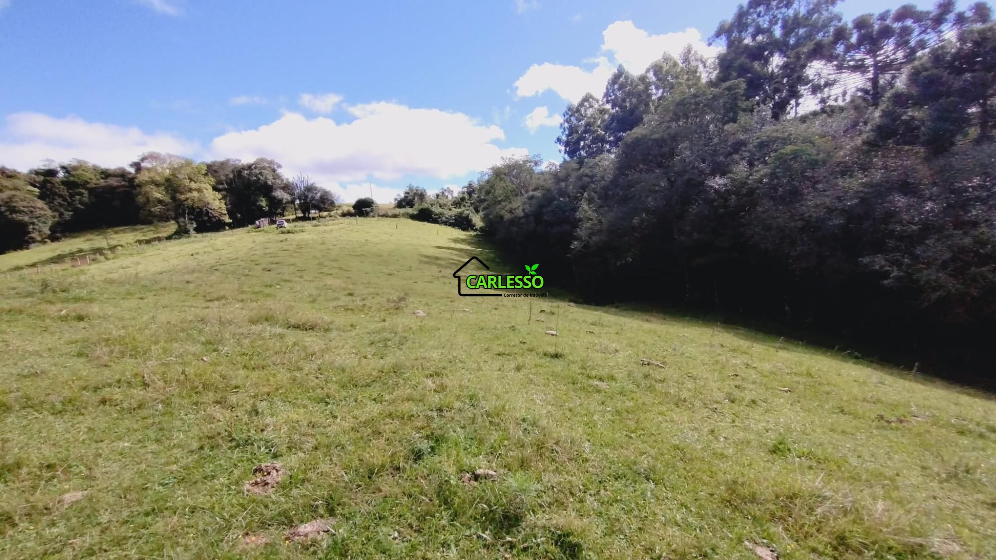 Área rural de 6 ha