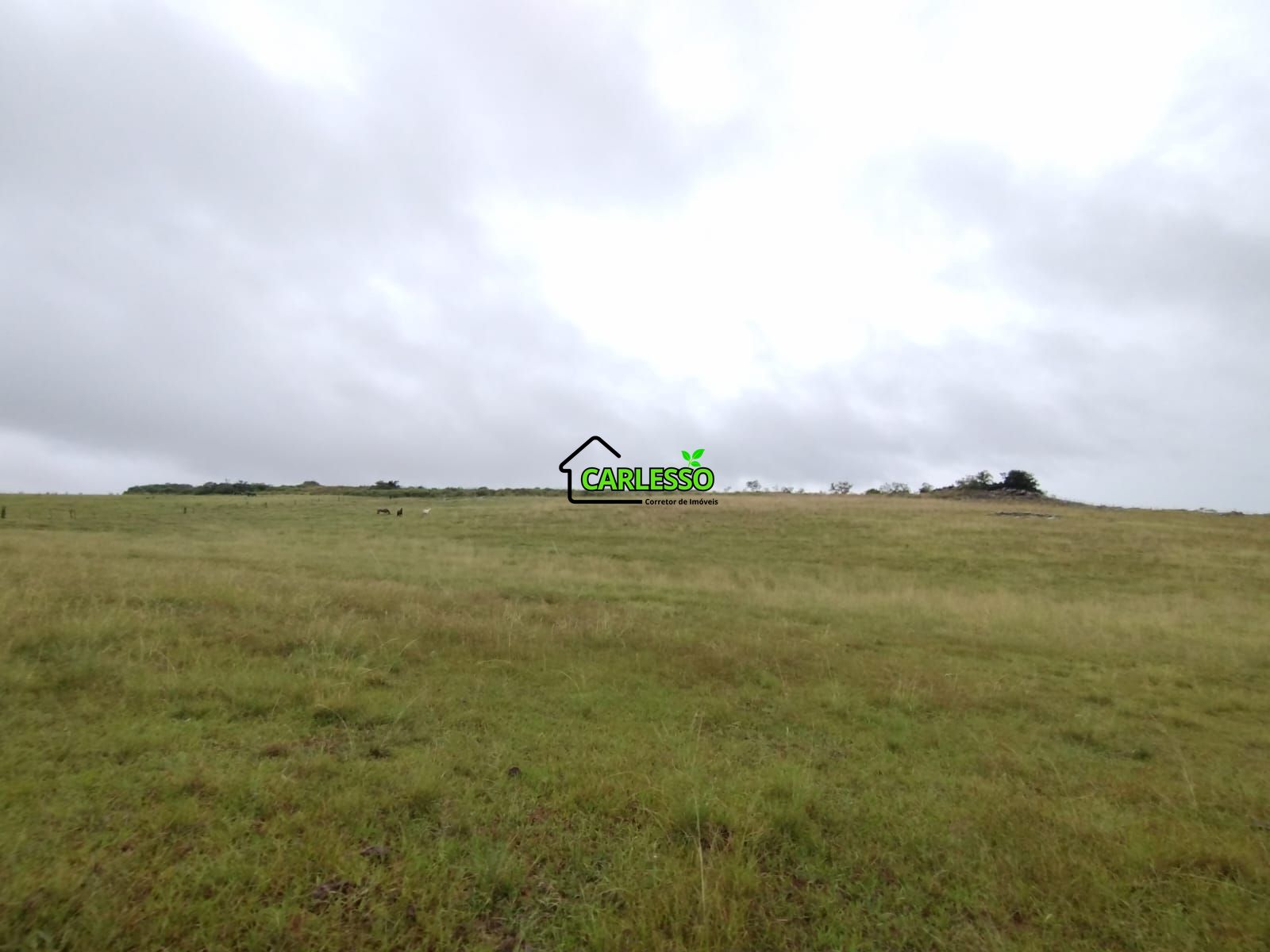 Fazenda de 80 ha em Alegrete