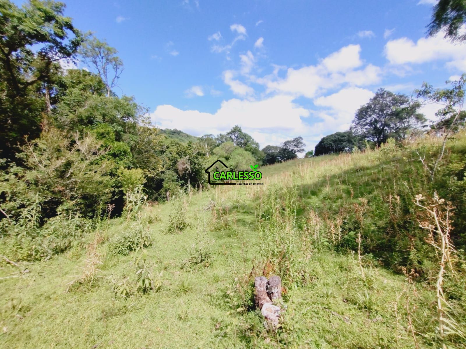 Sítio, 23 hectares - Foto 21