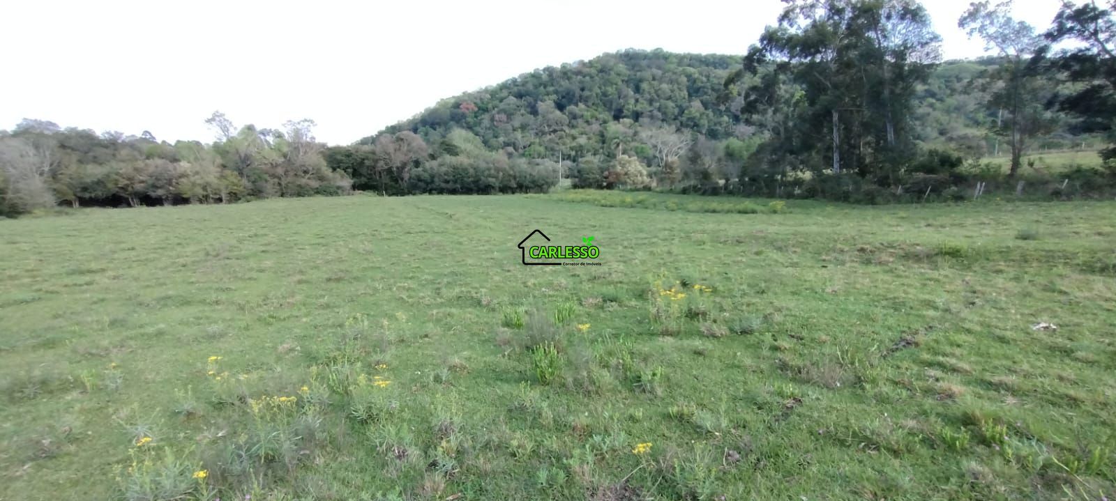 Área rural de 5 ha