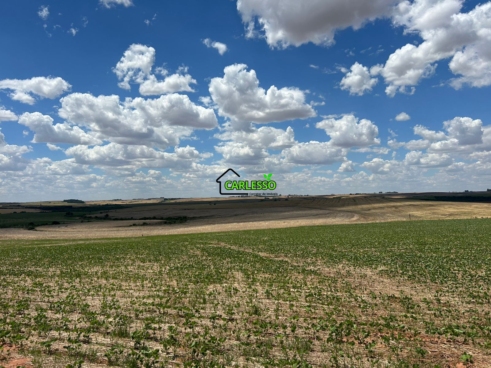 Fazenda, 700 hectares - Foto 5