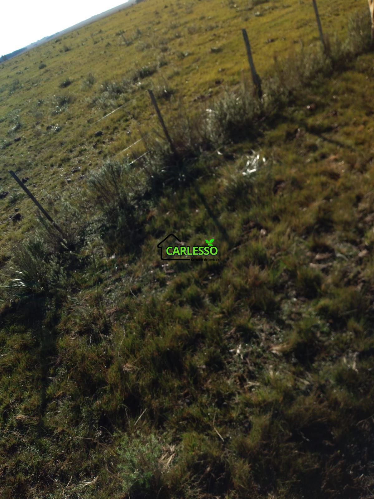 Fazenda de 65 ha