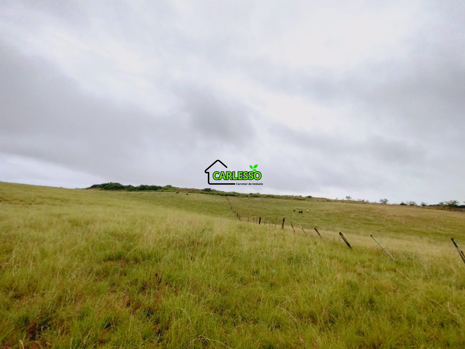 Fazenda de 80 ha em alegrete