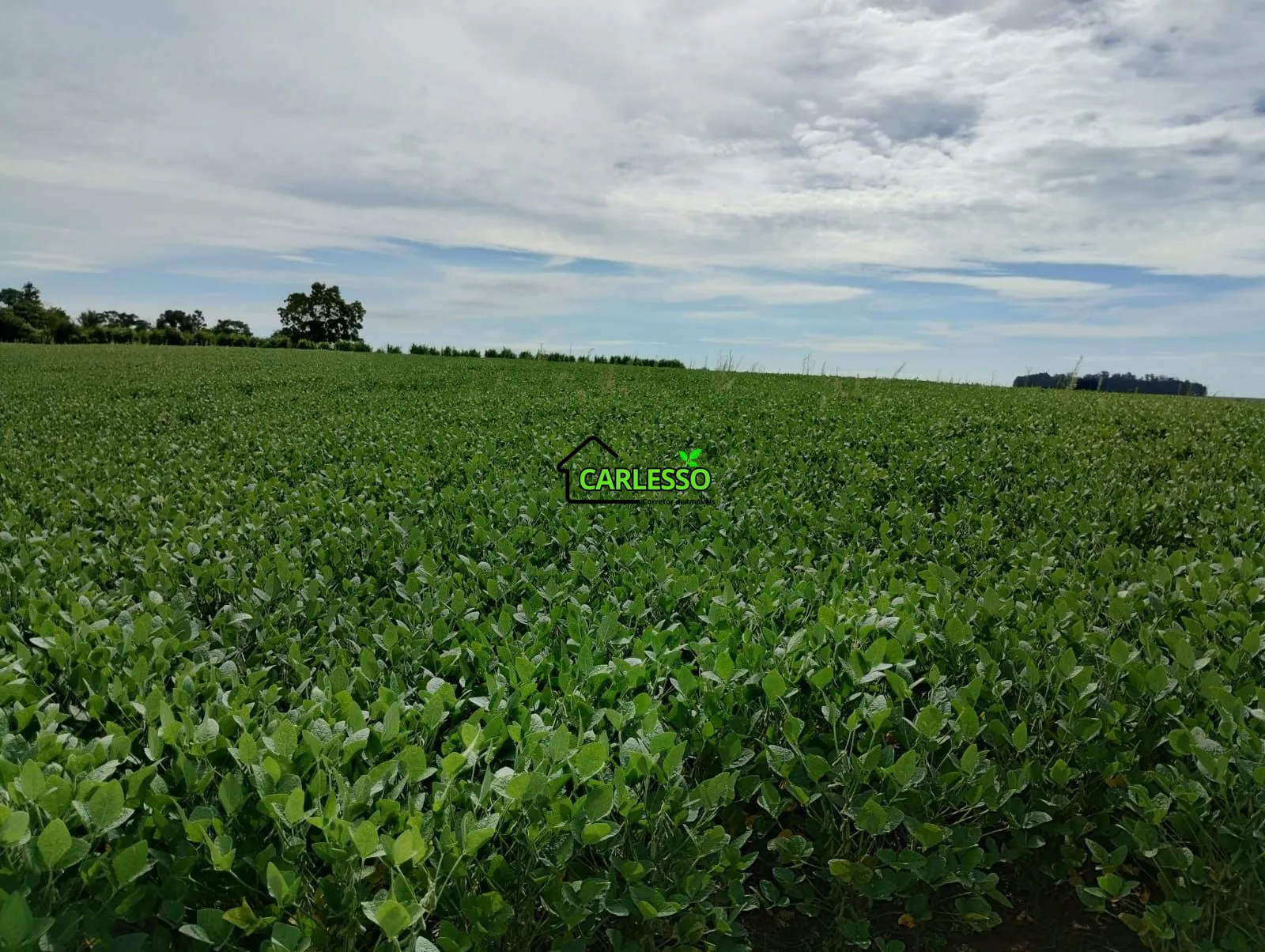 Sítio, 3 quartos, 25 hectares - Foto 41