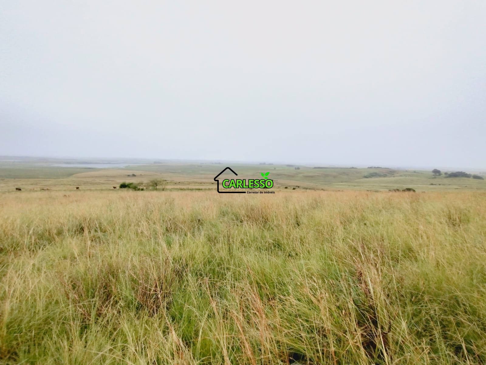 Fazenda, 120 m² - Foto 25