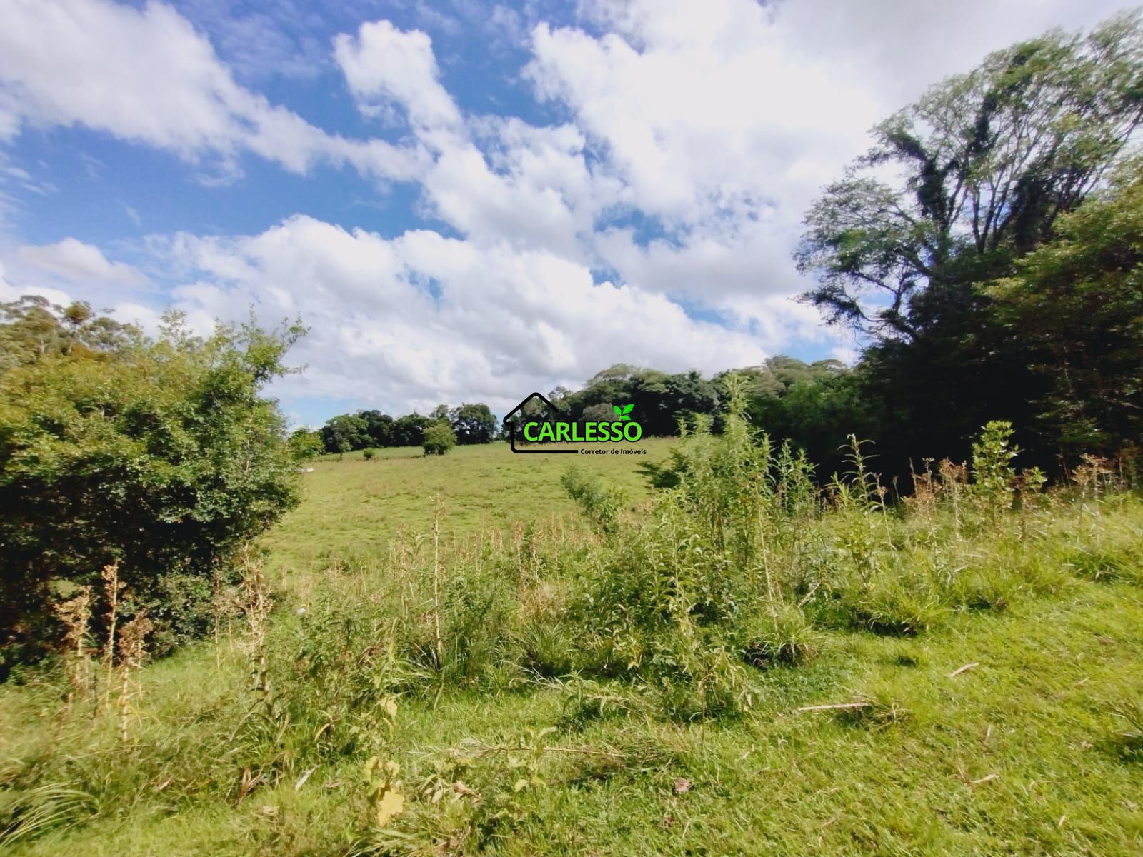 Sítio, 23 hectares - Foto 34