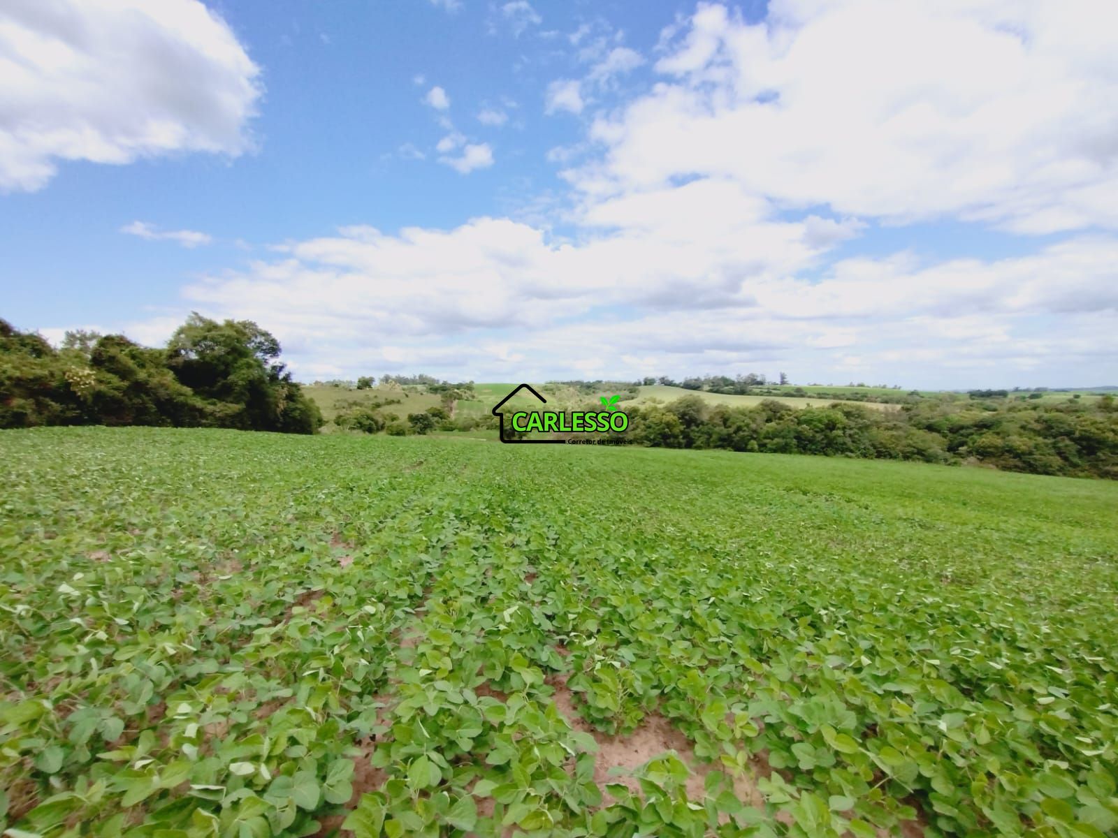 Sítio, 25 hectares - Foto 35