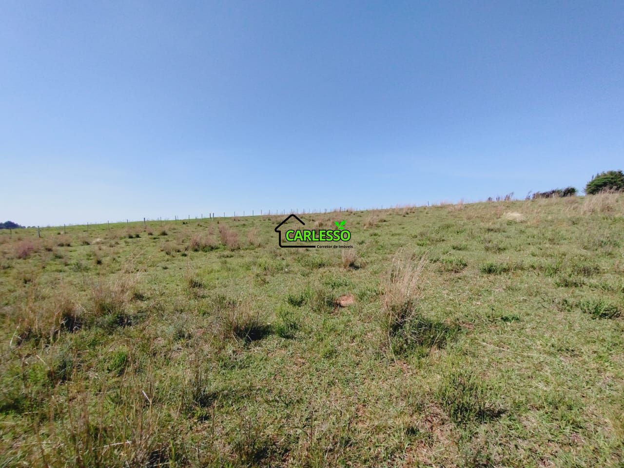 Chácara, 2 quartos, 2 hectares - Foto 59