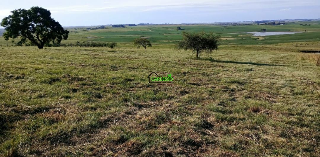 Fazenda, 120 m² - Foto 1