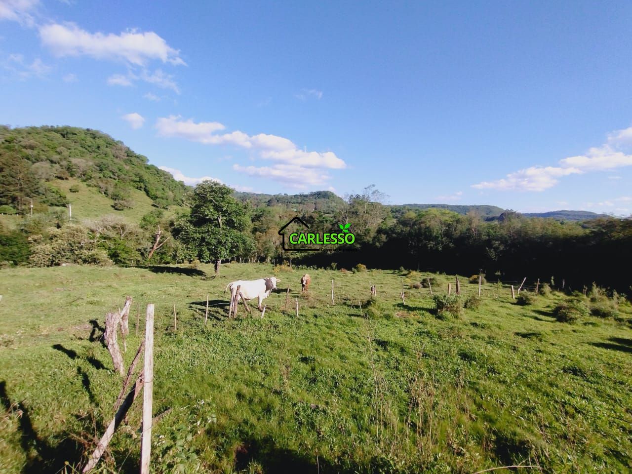 Chácara, 2 quartos, 7 hectares - Foto 28