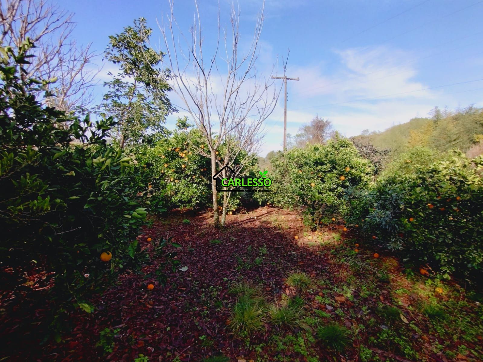 Chácara, 3 quartos, 10000 m² - Foto 23