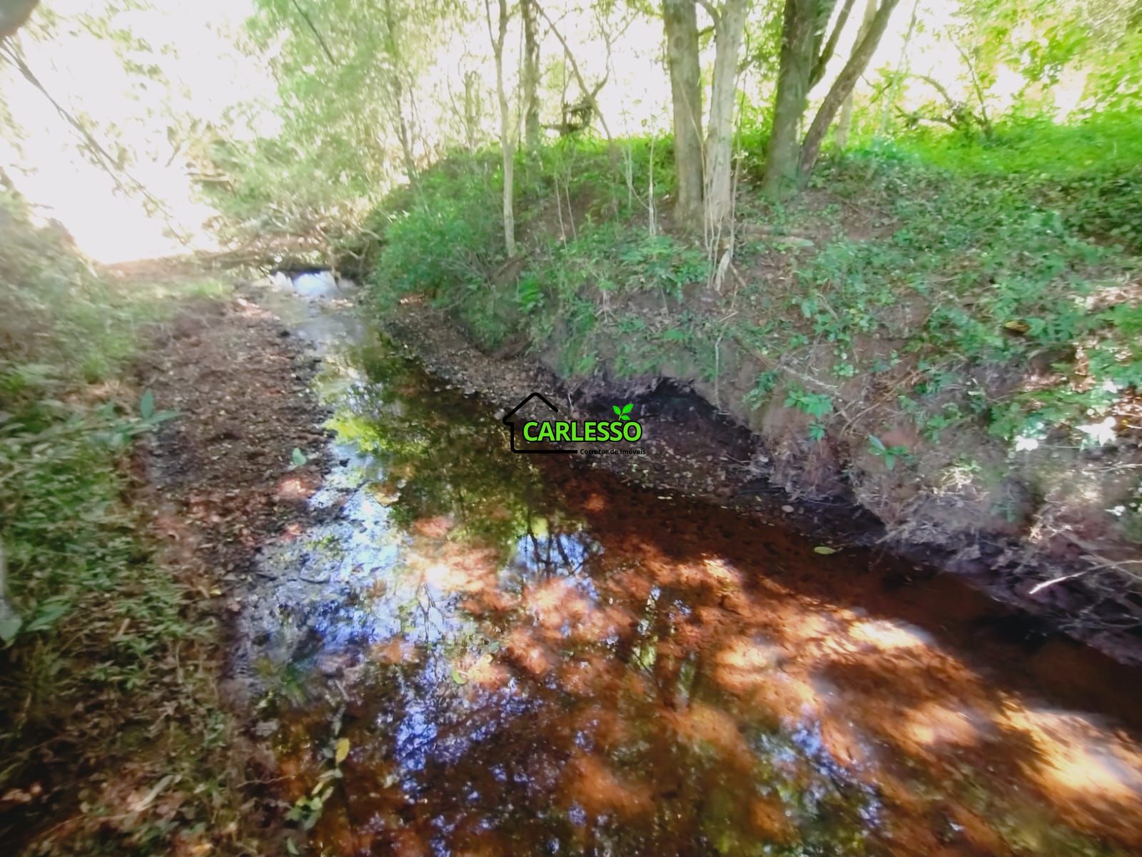 Chácara, 7 hectares - Foto 11