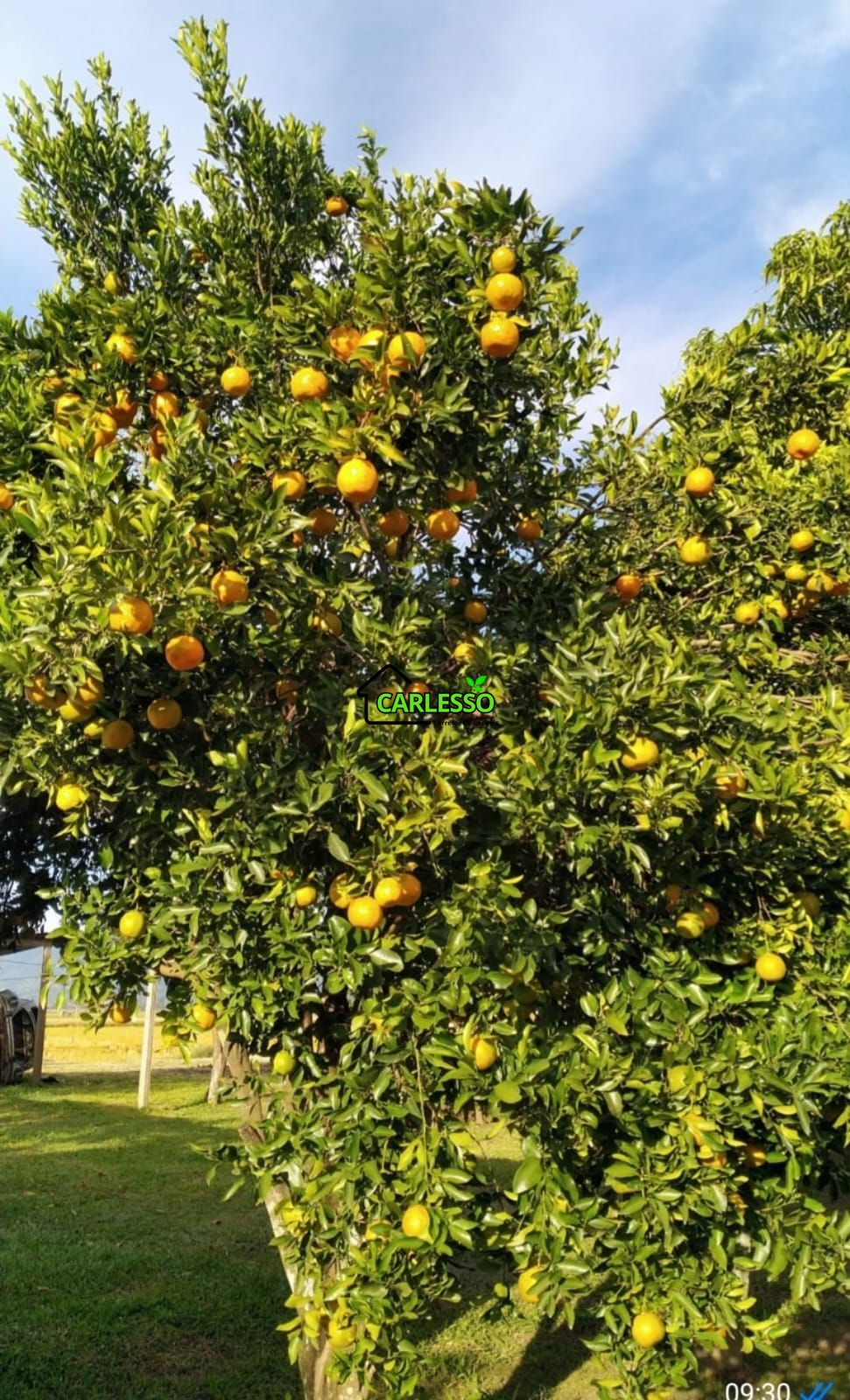 Chácara, 3 quartos, 5000 m² - Foto 26